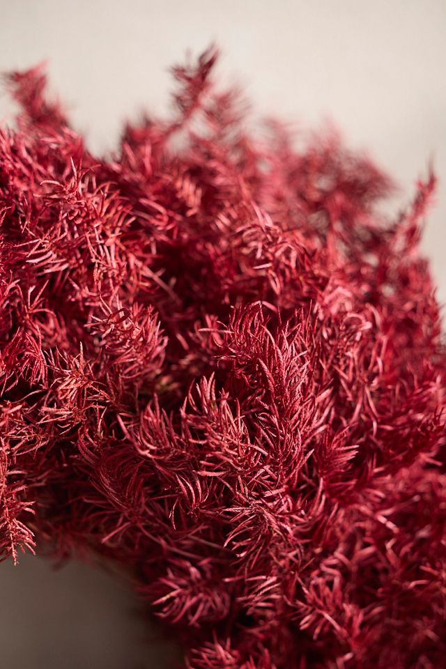 Burgundy Setaria Dried Wreath #1
