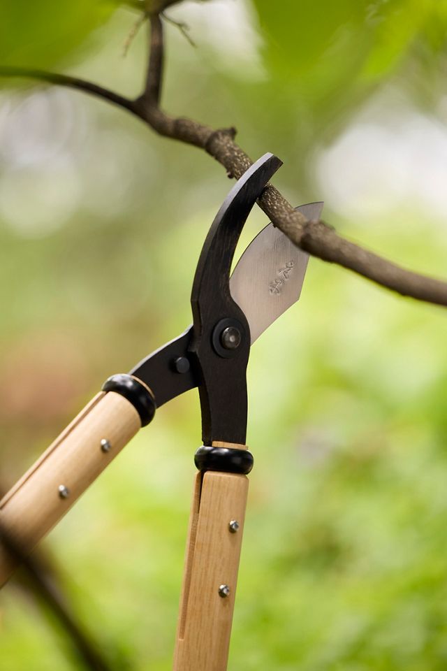 Niwaki Loppers #1