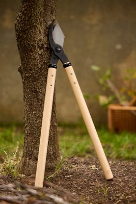 Niwaki Loppers