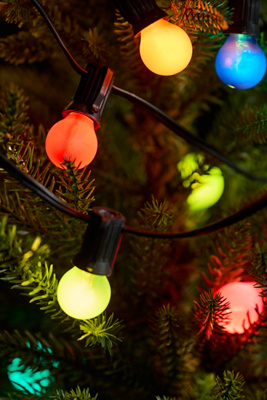 Terrain Stargazer Garden Lights, Set Of 21 Bulbs, Yesteryear: Mini Edition