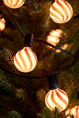 Stargazer Garden Lights, Set of 10 Bulbs, Candy Cane | Terrain