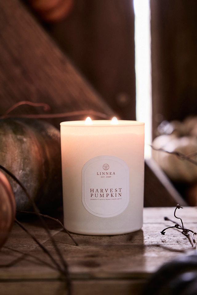 Linnea Candle, Harvest Pumpkin #2
