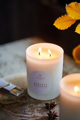 Linnea Candle, Harvest Pumpkin