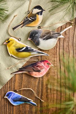 Puffed Enamel Bird Ornaments, Set of 5