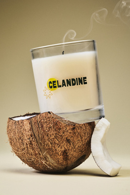 Celandine The  Fruity Sun-kissed Glass Candle In Neutral