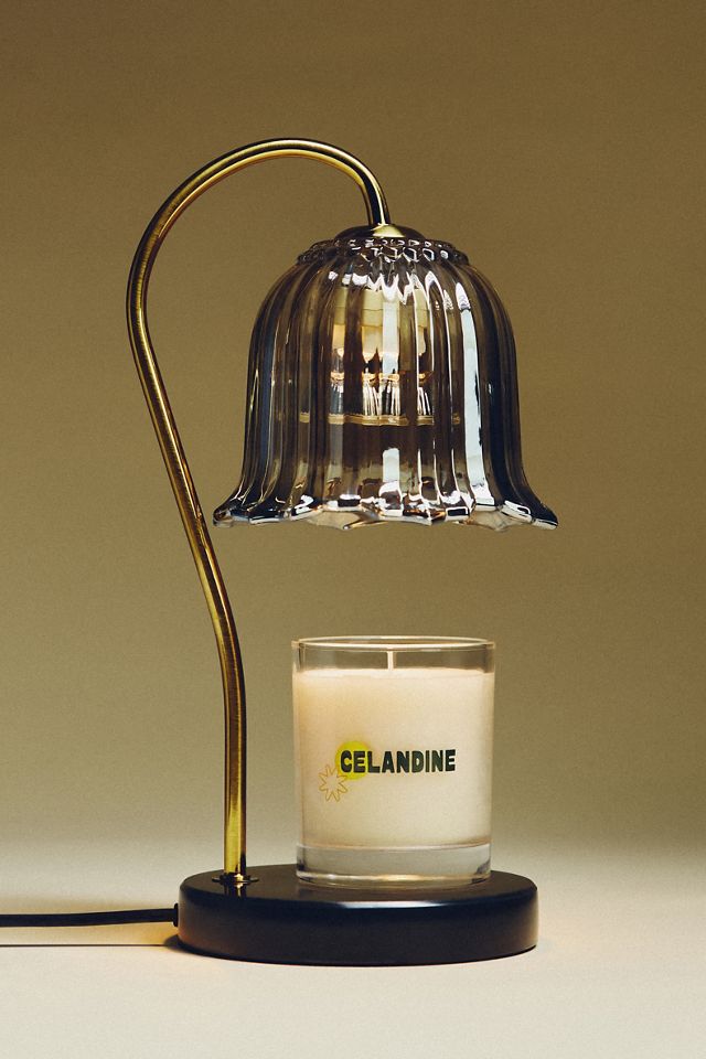 The Celandine Fruity Sun-Kissed Glass Candle #1