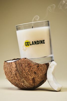 The Celandine Fruity Sun-Kissed Glass Candle