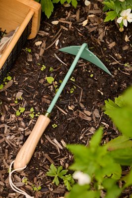 Barebones Mint Triangle Hoe