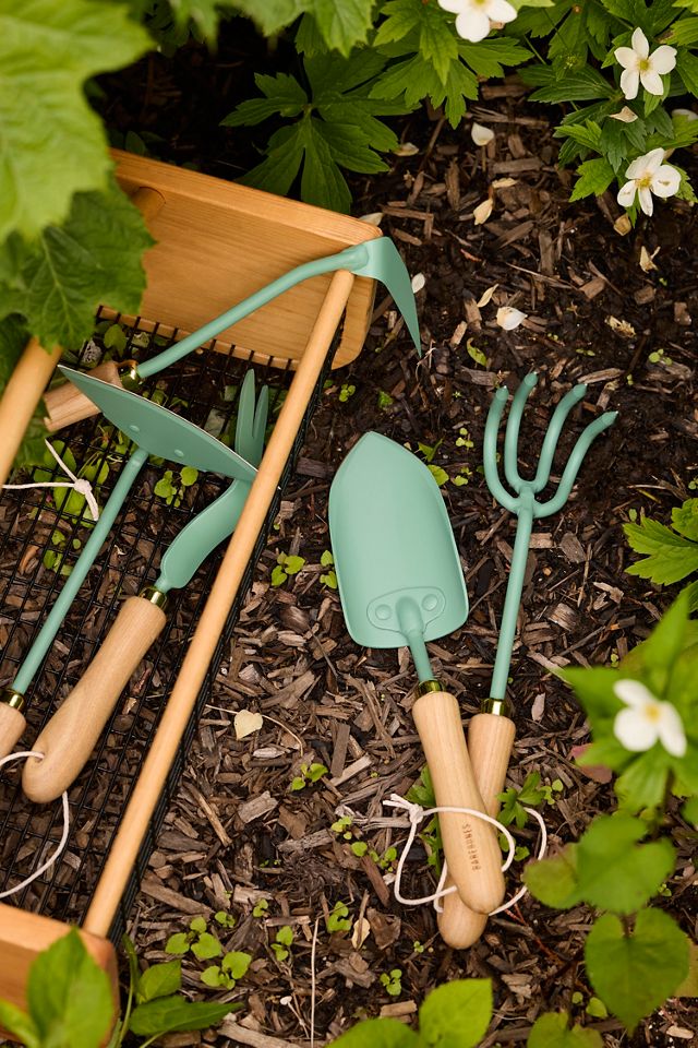 Barebones Mint Dandelion Weeding Fork #2