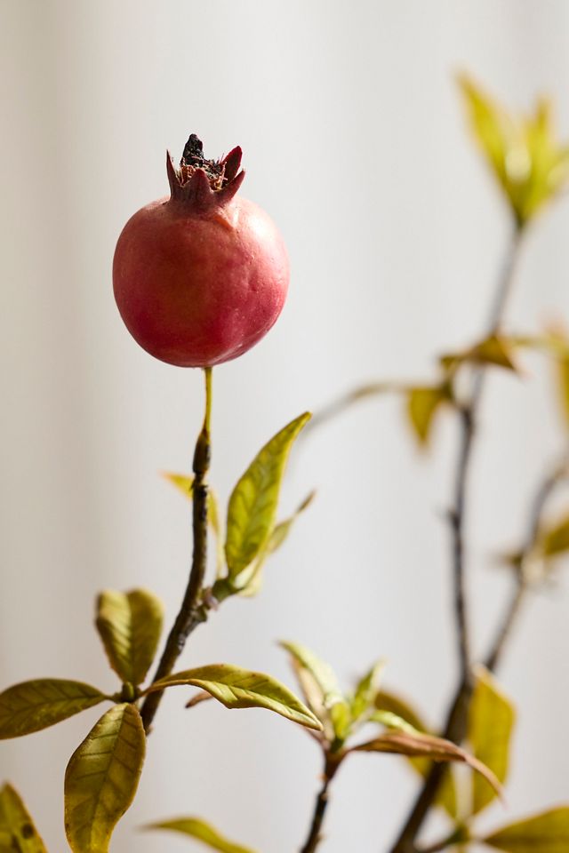 Faux Pomegranate Spray #1