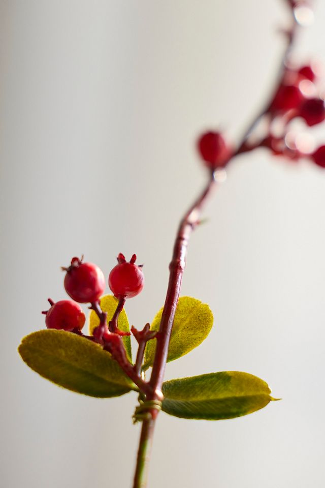 Faux Red Berry Spray #1