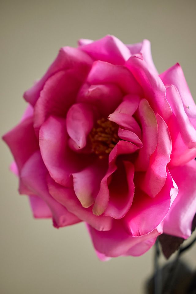 Faux Pink Rose Spray #1