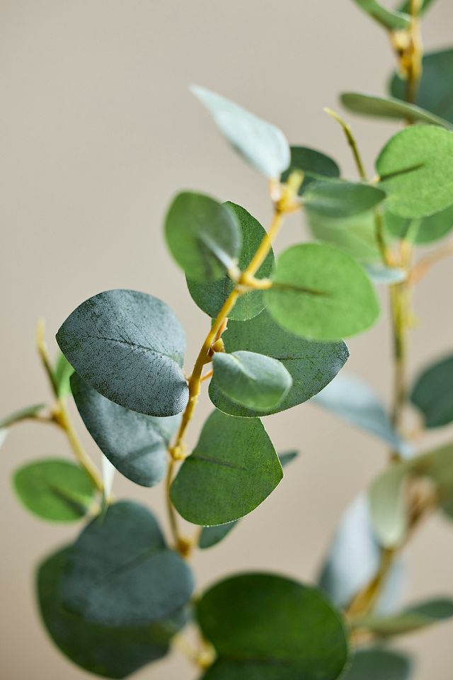 Faux Green Eucalyptus Spray #1