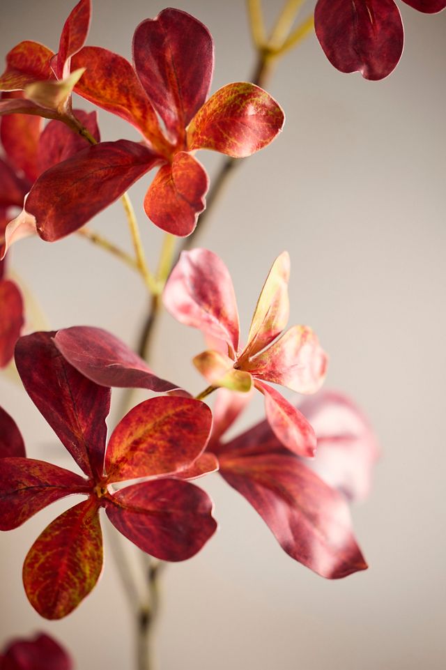Faux Burgundy Leaves Spray #1