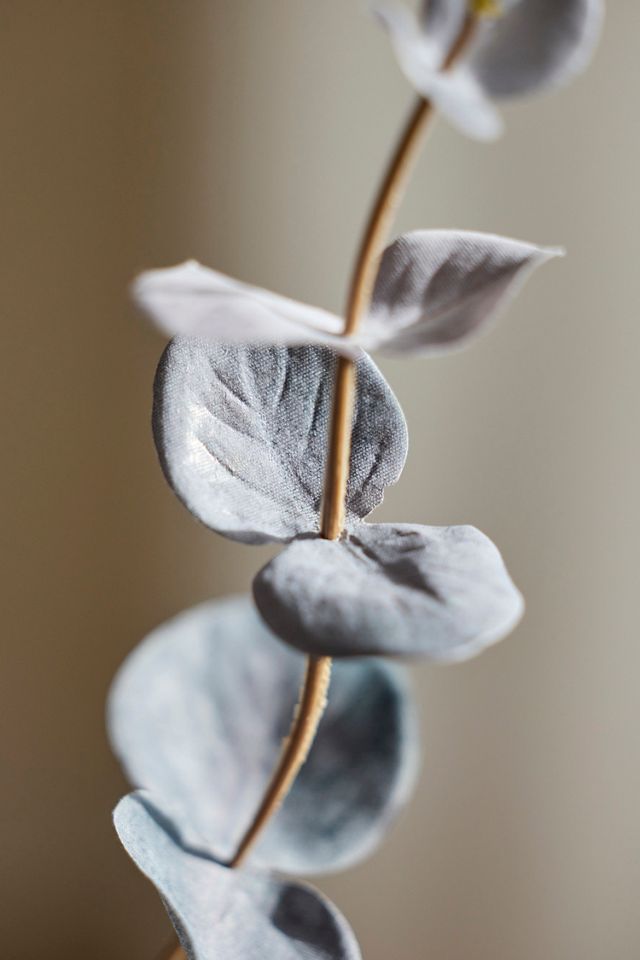 Faux Grey Eucalyptus Spray #1