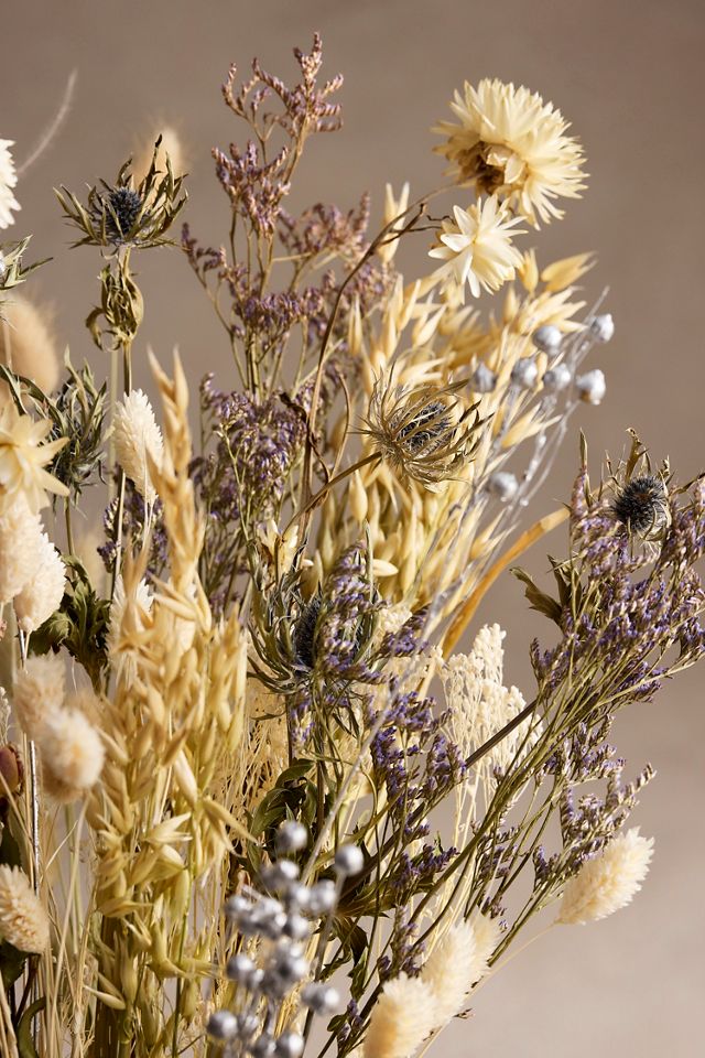 Dutch Field Mix Dried Bouquet, Frost #1