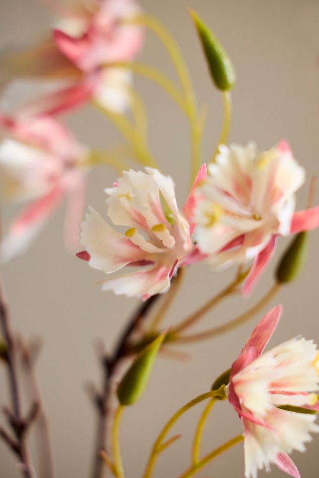 Faux Elaeocarpus Spray #1