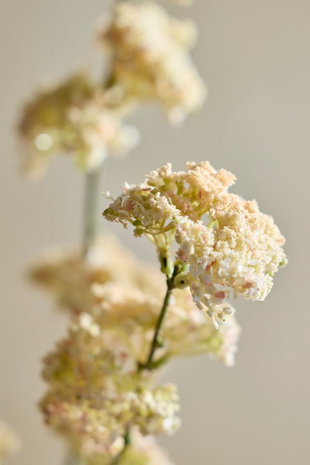Faux Pink Queen Anne’s Lace Spray #1