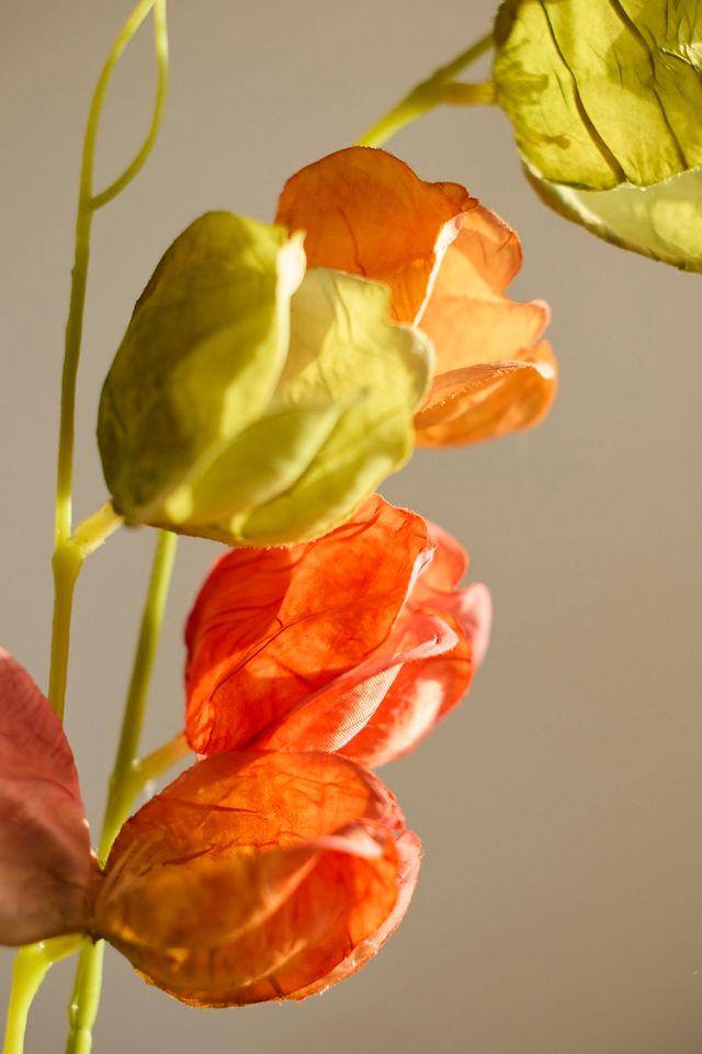 Faux Physalis Spray #1