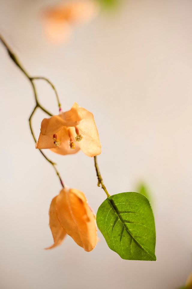 Faux Orange Bougainvillea Spray #1