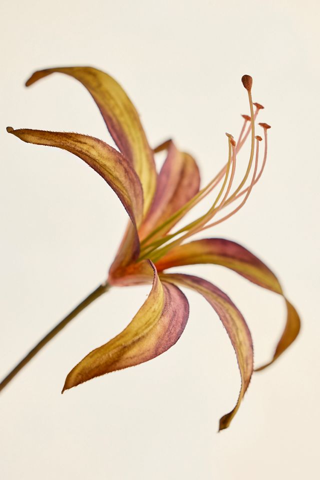 Faux Brown Lily Spray #1