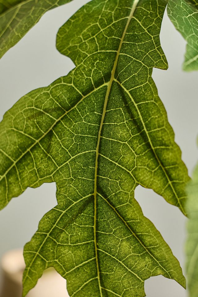 Faux Papaya Leaf #1