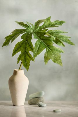 Faux Papaya Leaf