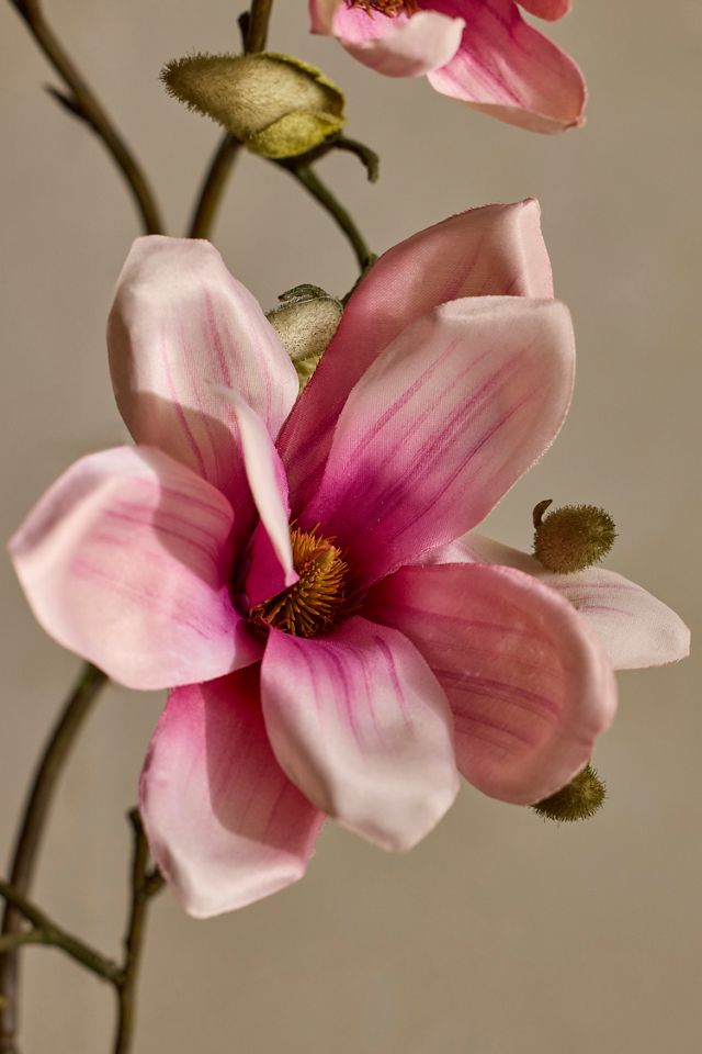 Faux Mauve Magnolia Spray #1