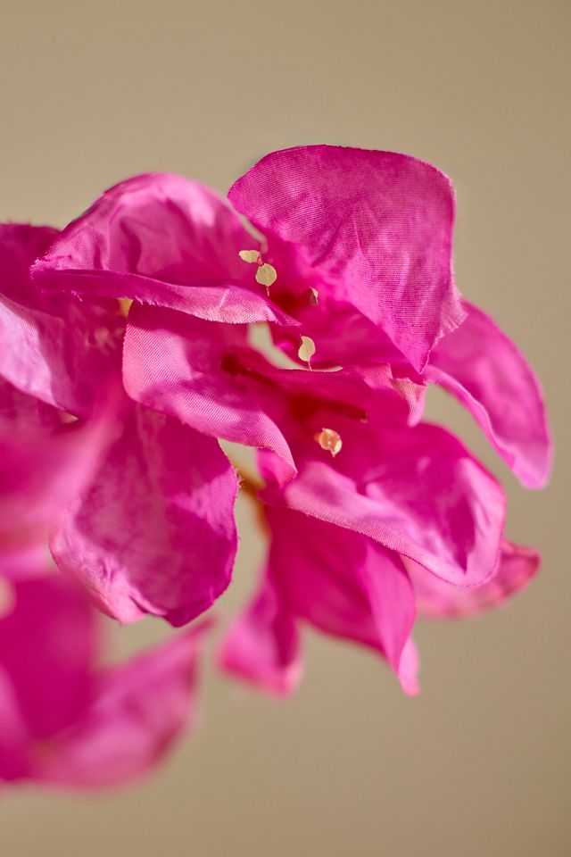 Faux Pink Bougainvillea Spray #1