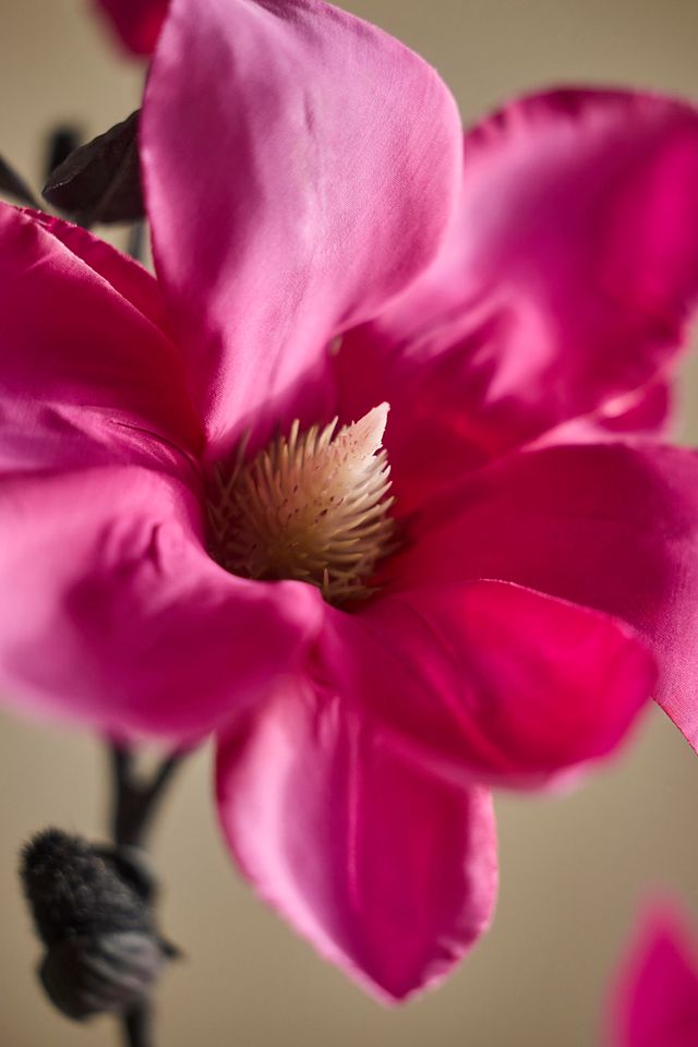 Faux Magnolia Branch Spray #1