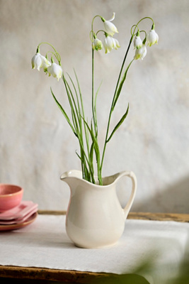 Faux Snowdrop Spray | Anthropologie