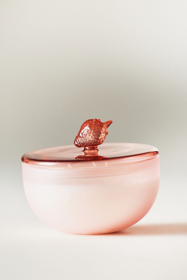 Romy Fruity Strawberry and Blonde Wood Glass Candle | AnthroHome
