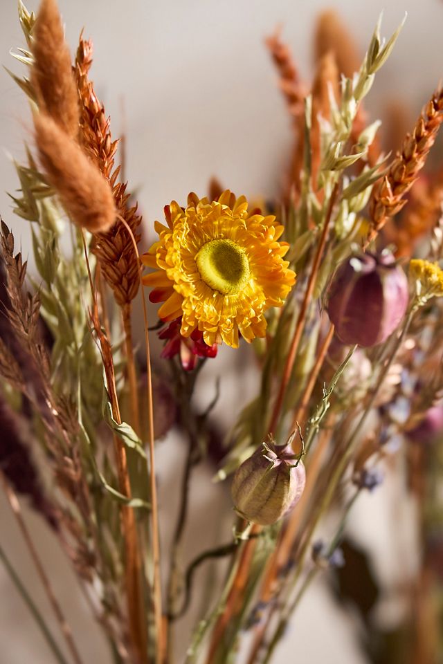 Dutch Field Mix Dried Bouquet, Harvest Sunset #1