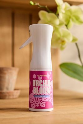 Orchid Bloom Spray