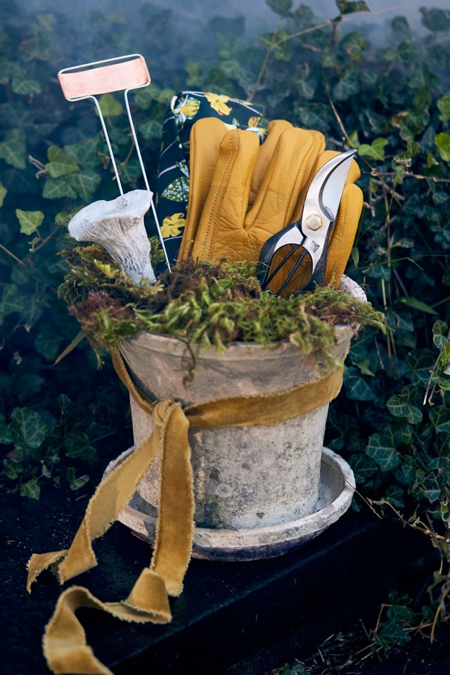 Preserved Mood Moss #3