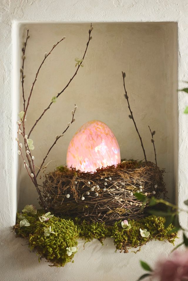 Preserved Sheet Moss #5