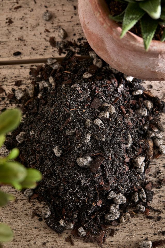 Rosy Soil Cactus + Succulent Soil Mix #3