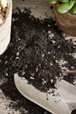 Rosy Soil Potting Soil Mix - Thumbnail 2