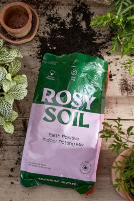 Rosy Soil Potting Mix