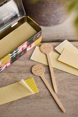 Pest Trap Sticky Planter Strips