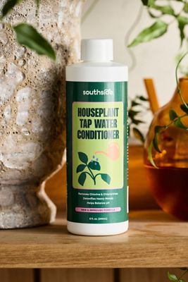 Houseplant Tap Water Conditioner