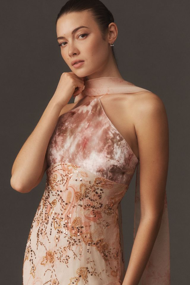 BHLDN Layla Halter Velvet Chiffon Maxi Dress #2