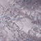 Purple Metallic