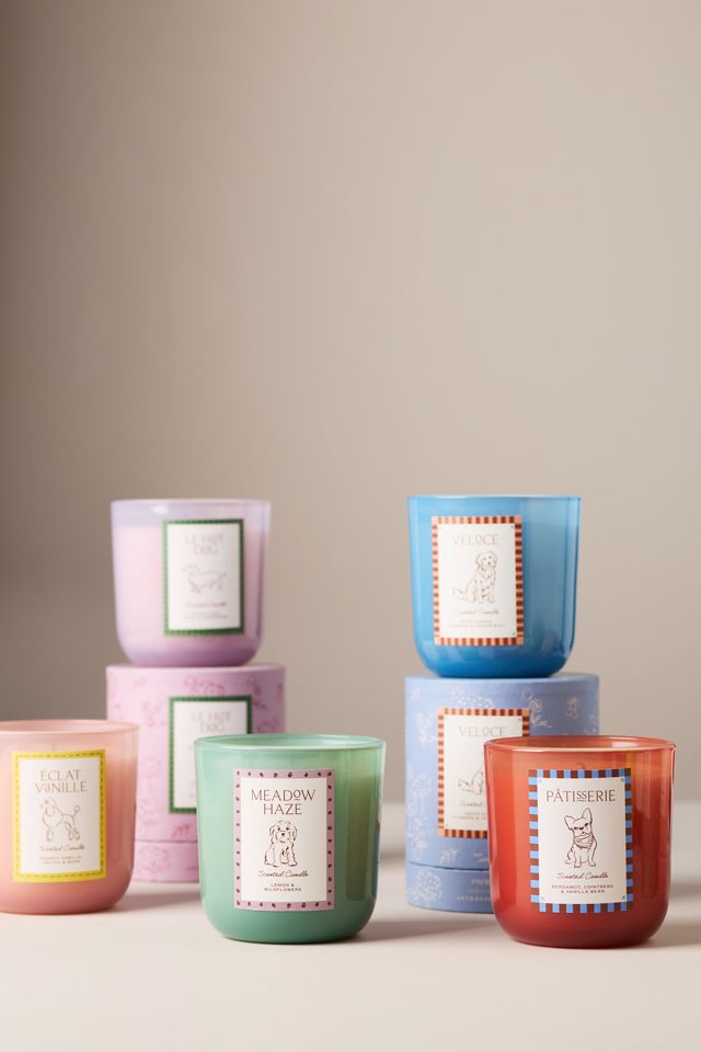 Papier x Anthropologie Fresh Meadow Haze Doodle Glass Candle #1