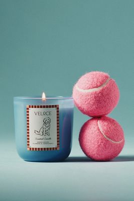 Papier x Anthropologie Fruity Veloce Retriever Glass Candle