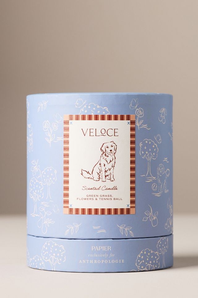 Papier x Anthropologie Fruity Veloce Retriever Glass Candle #2
