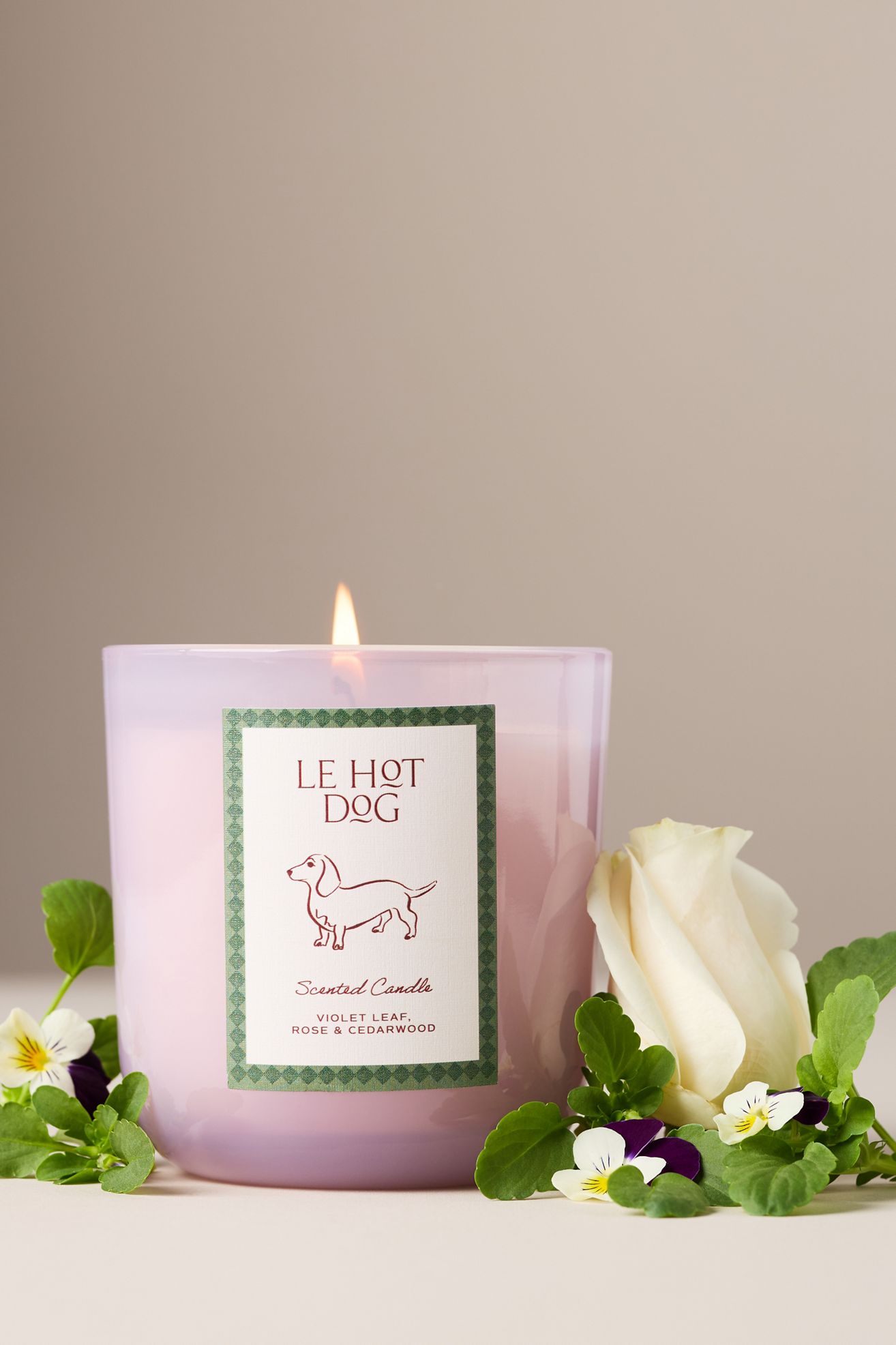 Papier x Anthropologie Woody Le Hot Dog Dachshund Glass Candle - Le Hot Dog, Standard, S