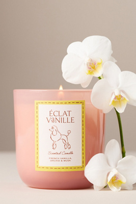 Papier x Anthropologie Gourmand Éclat Vanille Poodle Glass Candle