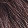 Chocolate Brown