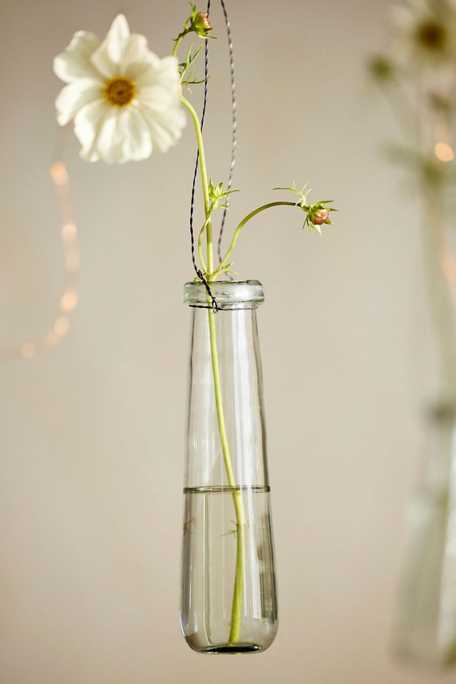 Large Hanging Glass Bud Vase Set #1